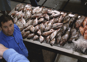 Kalakauppias Funchalin hallissa